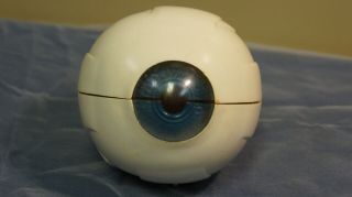 Vintage 1963 Merck Medical Eye Model Eyeball Display Model 5 " Diameter