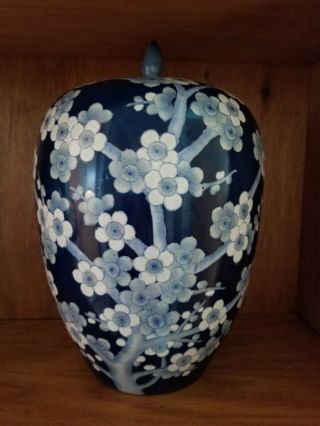 Vintage Ginger Jar Blue And White Prunus Flowers 13 " H Including Lid X 8 " W