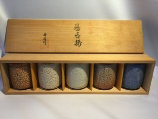 Japanese Vintage Shino Ware Ceramic Teacup Yunomi Pottery 5pc Set W/box