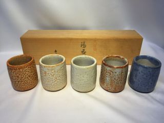 Japanese vintage Shino Ware Ceramic Teacup Yunomi Pottery 5pc set W/box 2