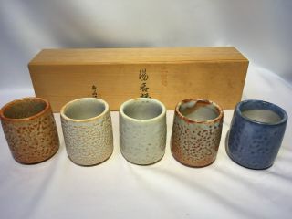 Japanese vintage Shino Ware Ceramic Teacup Yunomi Pottery 5pc set W/box 3