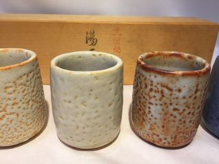 Japanese vintage Shino Ware Ceramic Teacup Yunomi Pottery 5pc set W/box 5