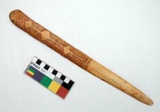 Old Vintage Sepik Guinea Cassowary Bone Dagger Lime Spatula Cannibal Knife 4