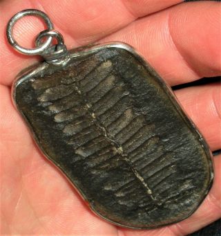 Vintage Extremely Old Plant Fossil Set In Sterling Silver Bezel Pendant Vafo