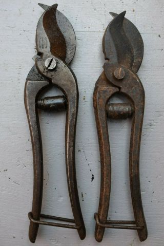 Vintage Garden Tools: 2 Pairs Of Old Parrot Beak Hand Secateurs Plant Pruning