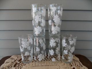 Set Of 6 Vintage Clear Glass Tumblers With White Leaves Pattern