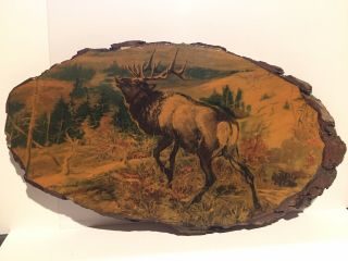 Vintage Tree Slab Picture Of " The Stag " Souvenir Bend,  Oregon,  On Lacquered Log