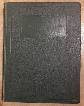 Vol - 1 An Atlas Of Human Anatomy - By Toldt 1926 Vintage Medical Book