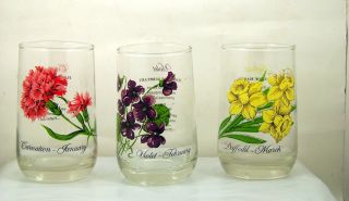 Vintage Brockway Flower Of The Month Glass Tumbler Set Of 9