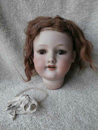 Antique German Armand Marseille 390 Bisque Doll Head 11 1/2 " Circumference