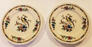 2 Vintage Syracuse China Restaurant Ware Colorful Pheasant 9 " Lunch Plates