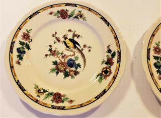 2 Vintage Syracuse China Restaurant Ware Colorful Pheasant 9 