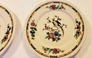 2 Vintage Syracuse China Restaurant Ware Colorful Pheasant 9 
