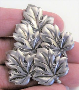 Rare Vintage Sterling Craft Silver Coro Leaves Leaf Brooch Pin 2 " X 1 3/4 "