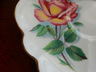 RETRO Artist Signed Vintage Shelley England Big Roses Cup & Saucer Bone China 7