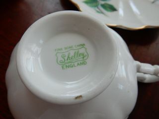 RETRO Artist Signed Vintage Shelley England Big Roses Cup & Saucer Bone China 8