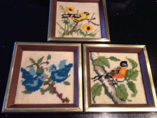 3 Vintage Cute Cross Stitch Embroidered Framed Birds Robin Goldfinch Bluebird