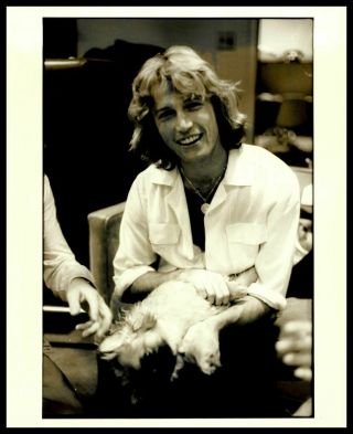 1970s Andy Gibb Vintage Wire Photo The Bee Gees Gp