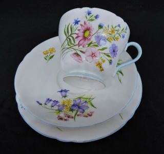 Vintage Shelley " Wildflowers " Blue Trim Tea Cup,  Saucer & Plate - Pattern No13668