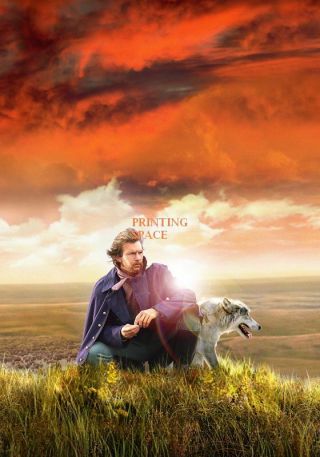 Dances With Wolves Vintage Classic Movie Collectors Poster 24x36 Inch