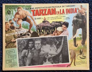 Tarzan Goes To India Jock Mahoney Vintage 1962 Mexican Lobby Card N