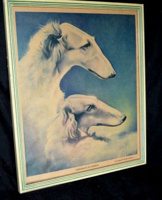 Vintage Howard Van Dyck 1937 Aristocrats Of Dogdom Cover Design 2 White Borzoi