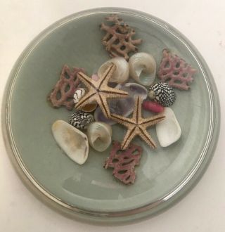 Vtg Sea Life Glass Dome Paperweight Starfish Shells Coral Ocean Decor Magnifying 4