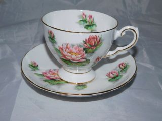 Vintage Tuscan Fine Bone China Birthday Flowers - Water Lily - Tea Cup & Saucer 2