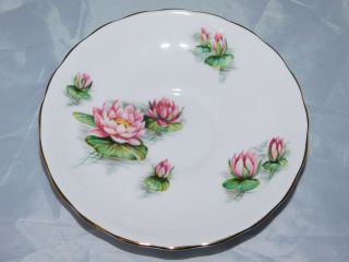 Vintage Tuscan Fine Bone China Birthday Flowers - Water Lily - Tea Cup & Saucer 3