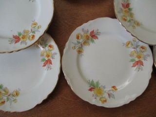 Eight Vintage Homer Laughlin Pottery Bread Plates F 49 N 6 Yellow Flower 4