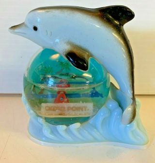 Vintage Cedar Point Souvenir Plastic Dolphin Water Globe Novelty Travel Trip Fun