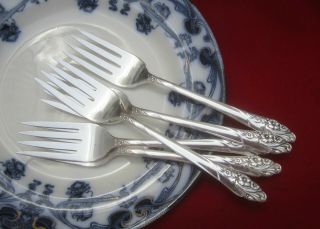 5 Vintage Oneida Community Evening Star Silverplate Salad / Dessert Forks 6 - 5/8 "