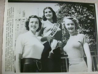 Vintage 1950 Sexy Big Busted Girls In Sweater Queen Contest Acme Press Photo