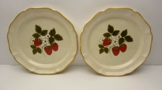 Vintage Pair Mikasa Strawberry Festival 10.  5 " Dinner Plates Eb 801 Made In Japan