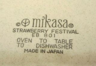 Vintage Pair Mikasa Strawberry Festival 10.  5 