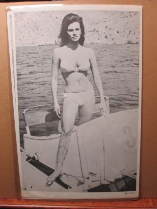 Vintage Poster Rachel Welch Hot Girl Black And White 1971 Inv 2825