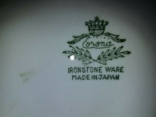 Vintage - Green - Corona Ironstone Platter - Hand Painted Grapes - Made in Japan 3