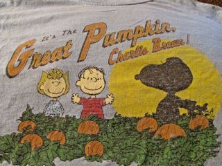 Rare Vintage Peanuts Lg.  T - Shirt It 