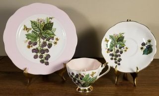 Vintage Queen Anne Bone China Tea Cup/saucer/dessert Plate Blackberry Butterfly