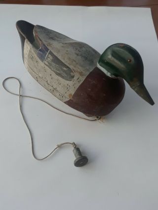 Wooden Duck Decoy Old Mallard Glass Eyes With String And Old Weight