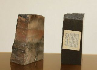 Vintage Pair Petrified Wood Stone Bookends