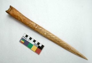 Old Vintage Sepik Guinea Cassowary Bone Dagger Warrior Cannibal Knife 3