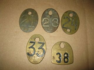 5 Vintage Antique Brass Cow Cattle Tags Display 21 23 24 33 38 3