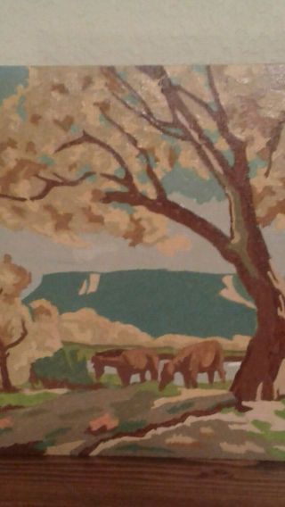 Vintage Paint by Number PBN,  Horses 3