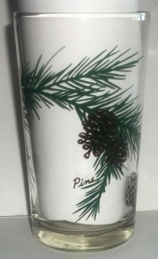 Vtg Pine Peanut Butter 5 " Drinking Glass Name At Bottom Pine Cones