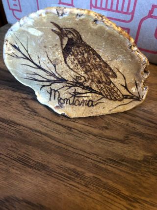 Vtg Natural Tree Conk Shelf Mushroom Fungus Songbird Folk Art Montana Souvenir