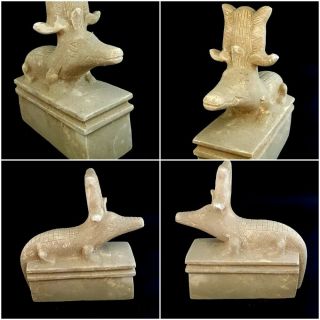 Rare Ammit Mummy Figurine Egyptian Antique Sobek God Stone Sculpture Crocodile