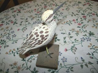 Antique Hand Carved Wood Shore Bird - Walt Syper - Decoy Carver Amsterdam,  N.  Y.