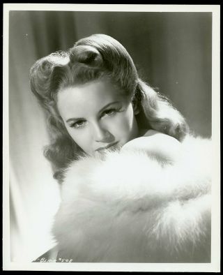 Janet Blair Wrapped In Fur Alluring Pose Vintage 1940s Portrait Photo