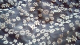 Vintage Flocked Fabric Navy Blue Sheer With Tiny White Flowers 41 X 45